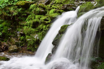 waterfall in the forest