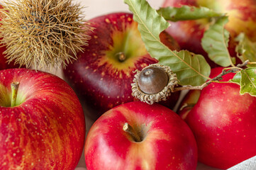 秋の信州りんご