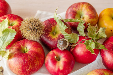 秋の信州りんご