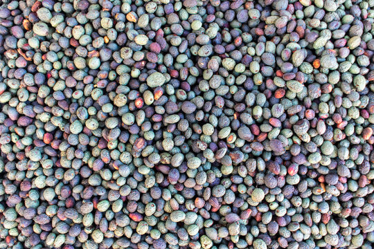 Roasted terebinth fruits. The main ingredient in traditional Kurdish coffee drinks - menengic.