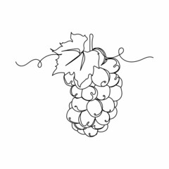 Continuous one line drawing of grape fruit organic food icon in silhouette on a white background. Linear stylized.