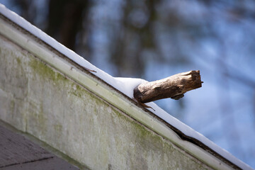 Snow and Ice Damage