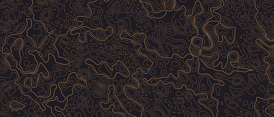 Topographic line map patterns. Orange Contour and textured Background of geographic cartography terrain on dark backdrop. Horizontal banner. Vector illustration