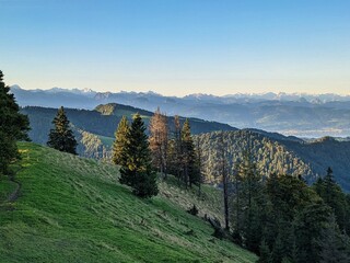 Schnebelhorn,Zurich Switzerland.Fantastic sunrise and morning mood to enjoy on the hill.View over the forest to the alps