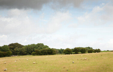 Buckinghamshire countryside in the uk