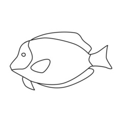 Tropical fish vector outline icon. Vector illustration exotic aunafish on white background. Isolated outline illustration icon of tropical fish .