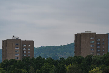 two high-rise developments with a forest in the background and trees in the foreground 