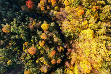 Beautiful colors of autumn. Forest and river photographed with a drone on sunny day. Regional park of neris in Lithuania. Real is beautiful  