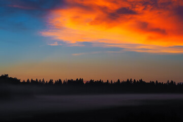 Scarlet sky at sunset over the forest with beautiful clouds