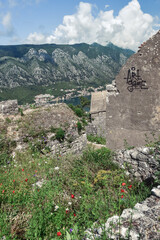 view of the city of kotor country