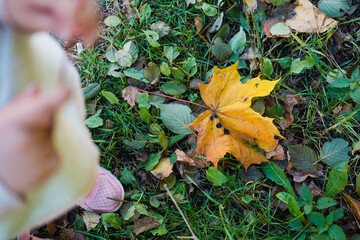 Autumn and three years old girl in a park.