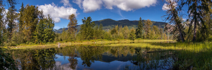 Fototapeta na wymiar Panorama of Pond and Moutains in Western Washington