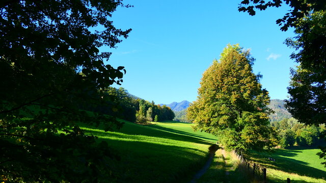 Wanderregion Wiener Alpen