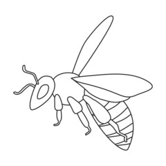 Honey bee vector outline icon. Vector illustration animal of honeybee on white background. Isolated outline illustration icon of honey bee.