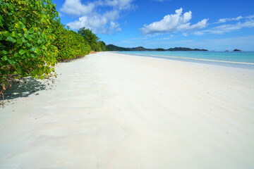 tropical beach at anse volbert on praslin, seychelles