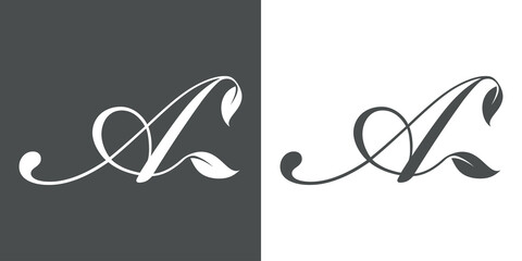 Logotipo letra inicial A con hojas de planta en fondo gris y fondo blanco - obrazy, fototapety, plakaty