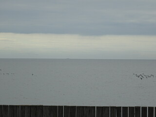 Am Meer