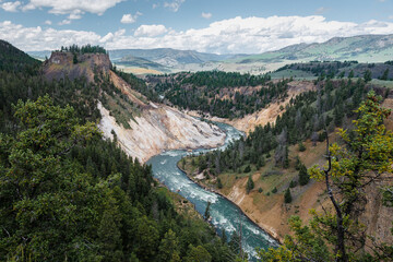 grand canyon of yellowstone 