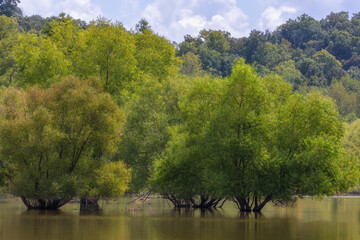 Beautiful Scenic views from a boat on the French River in Tennessee