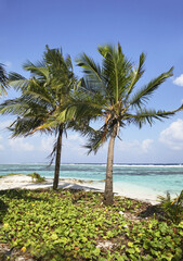 View of Hulhumale island. Republic of the Maldives