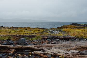 volcanic landscape in island country