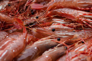 shrimp prawns on ice