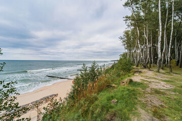 Baltic Sea coast with beach and park
