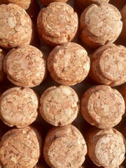 cork wine and champagne collage background
