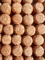 cork wine and champagne  collage background
