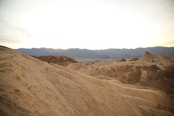 Pássaros do Pantanal