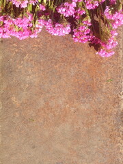 flower kermek on the brown background
