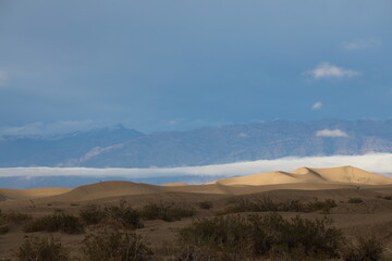Fototapeta na wymiar Dunas Mesquite Flat em Death Valley