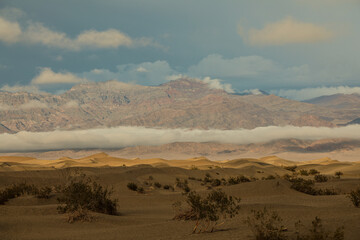 Fototapeta na wymiar Dunas Mesquite Flat em Death Valley