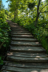 Fototapeta na wymiar Wooden path in Plitvice National Park, Croatia in Europe