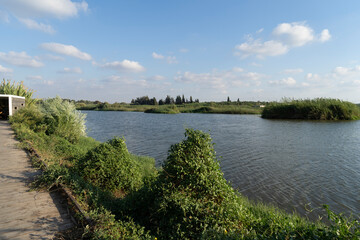 Obraz premium Agmon Hefer in the Hefer Valley