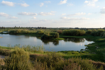 Fototapeta premium Agmon Hefer in the Hefer Valley