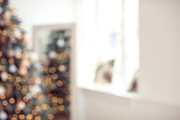 blurred texture of living room with sofa and christmas tree ready to celebrate christmas and new year - Image