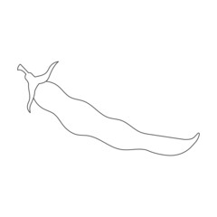 Obraz premium Beans pod vector outline icon. Vector illustration bean on white background. Isolated outline illustration icon of beans pod.