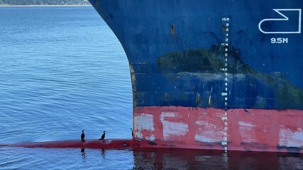 Port, Container Terminal, Port facility. Cranes, Loading, Global transportation. 