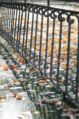 metal railings on a city lake, autumn leaves falling from trees floating on the water