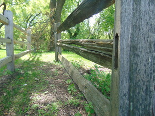 wooden fence in the forest