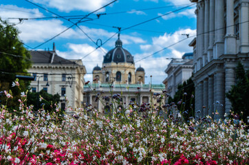 Classical architecture in Vienna, Austria