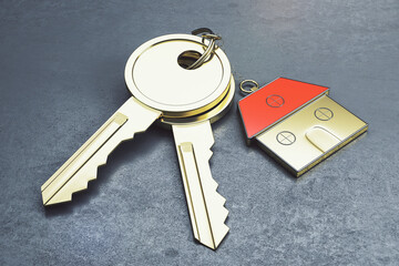 Close up of keys with house keychain on gray surface background. Real estate and property concept. 3D Rendering.