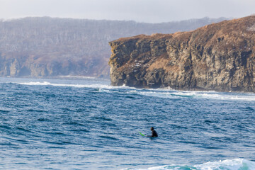 Obraz premium Surfers ride the waves in Vladivostok in winter.
