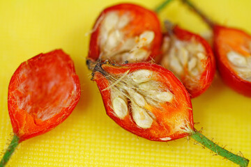 longitudinal section of rose hips 