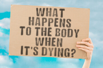 The question " What happens to the body when it's dying? " on a banner in men's hand with sky on the background. Death. Human. Health. Critical