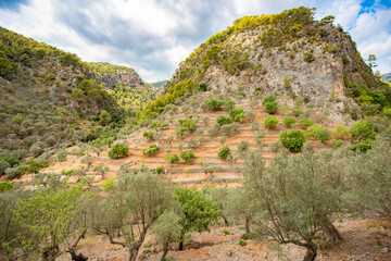 Cultural Landscape in the Tramuntana Mountains - Majorca - 4310