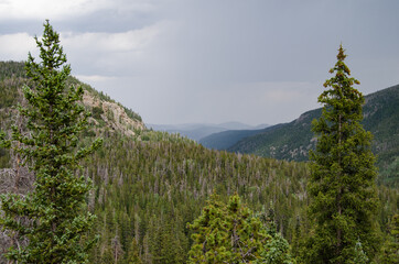 Mac Avenue Images Landscape