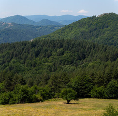 Rhodopes, are a mountain range in Southeastern Europe. Panorama. The forest area covers the mountains.