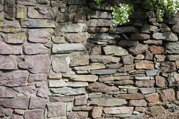 Tan Stone Wall with Slightly Horizontal Pattern and Green Vine in Upper Right-Hand Corner Suitable as Background